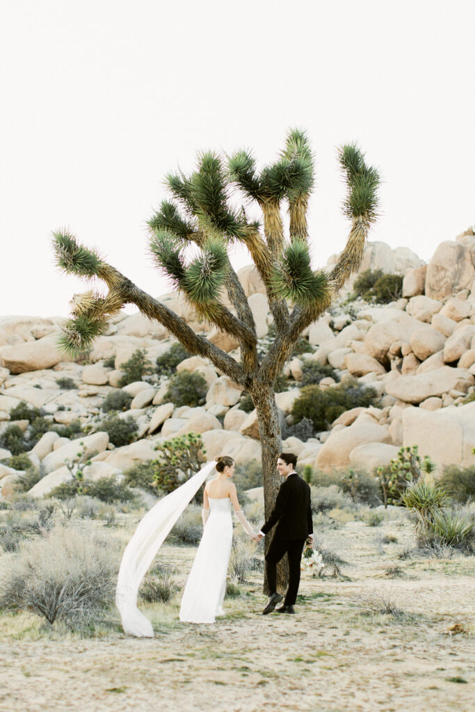 Intimate moment between couple under a Joshua Tree in soft evening light
